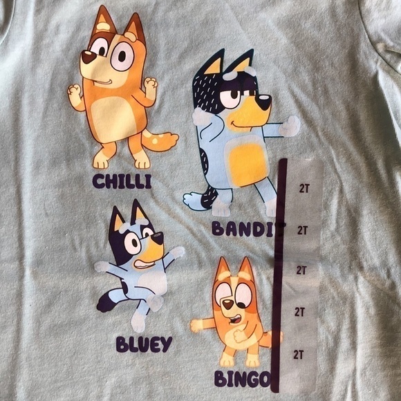 COPY - Moose Toddler Boy Girl Bluey Printed Short Sleeve T-Shirt Green 2T - Picture 4 of 8